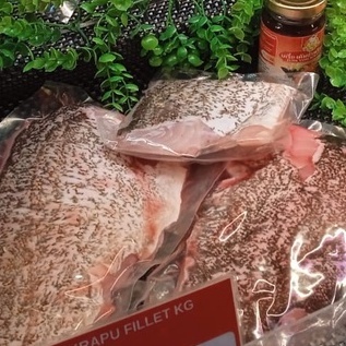 

KERAPU FILLET SEGAR 500 gr TERLARIS