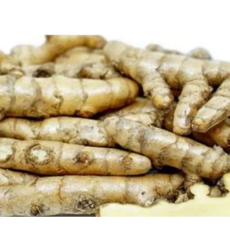 

Kunyit putih segar/temu putih 1kg