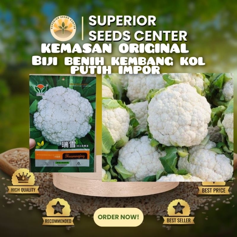 

KEMASAN ORIGINAL BIJI BENIH KEMBANG KOL PUTIH IMPOR