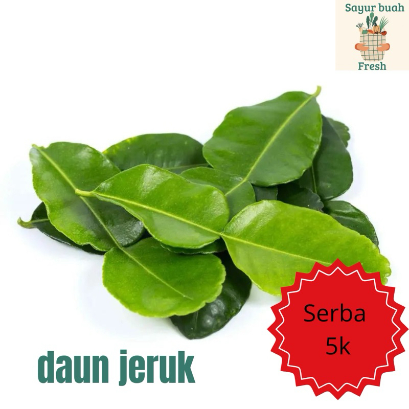 

Daun jeruk segar bumbu masak serba 5k