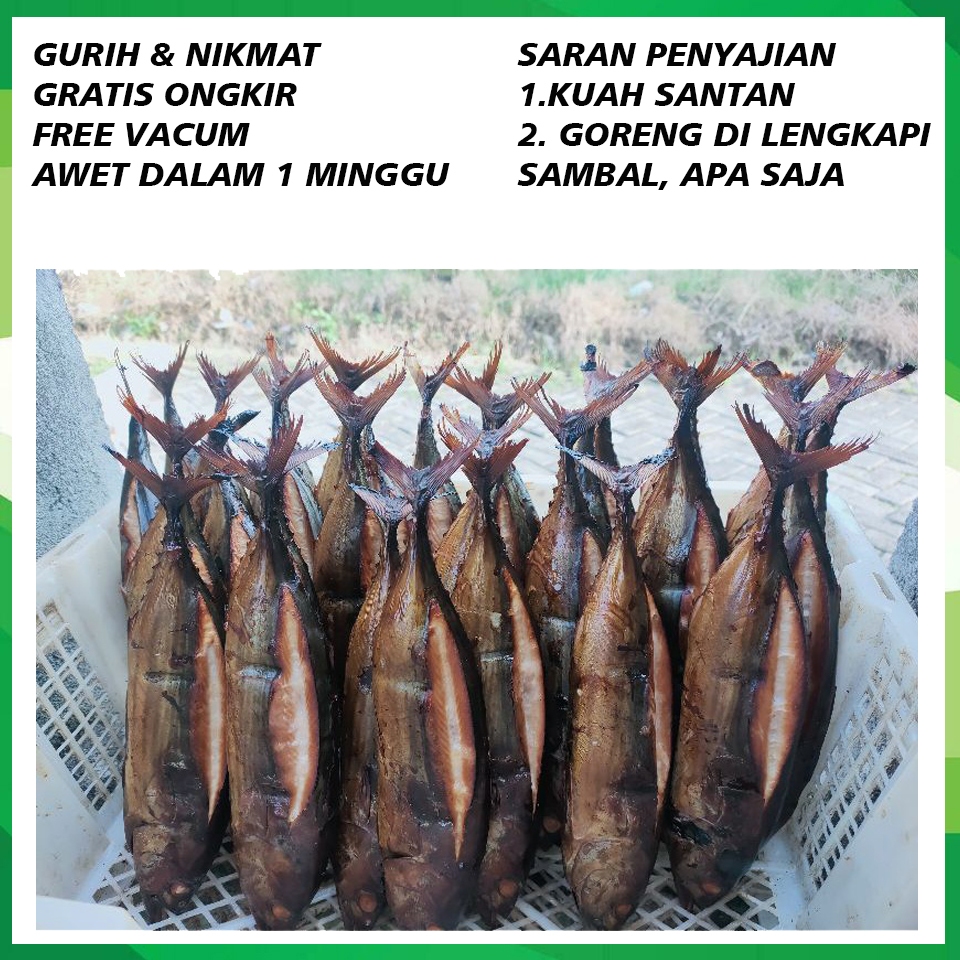 

Ikan Asap Tongkol utuh JUMBO Premium