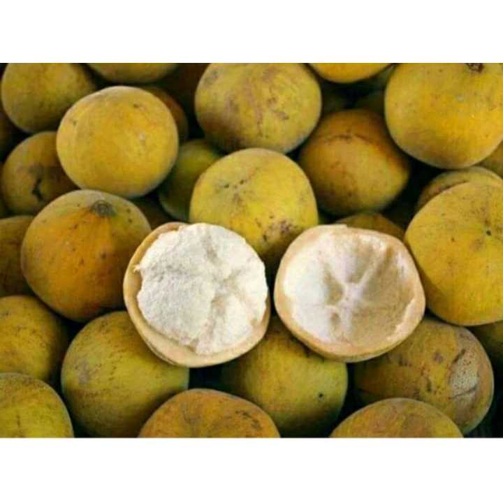 

Buah kecapi / Buah Sentul 500 Gram