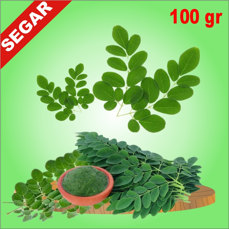 

DAUN KELOR 100 GR