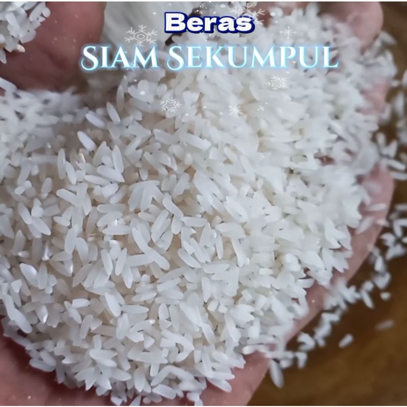 

Beras SIAM SEKUMPUL | baras siam banjar | beras premium banjar.