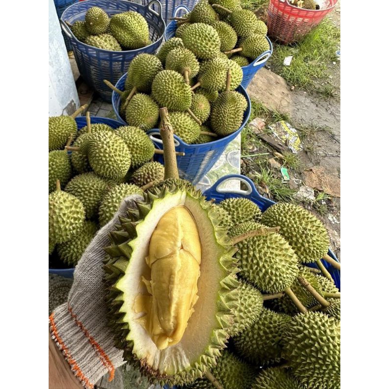 

Promo Durian Kupas Tembaga