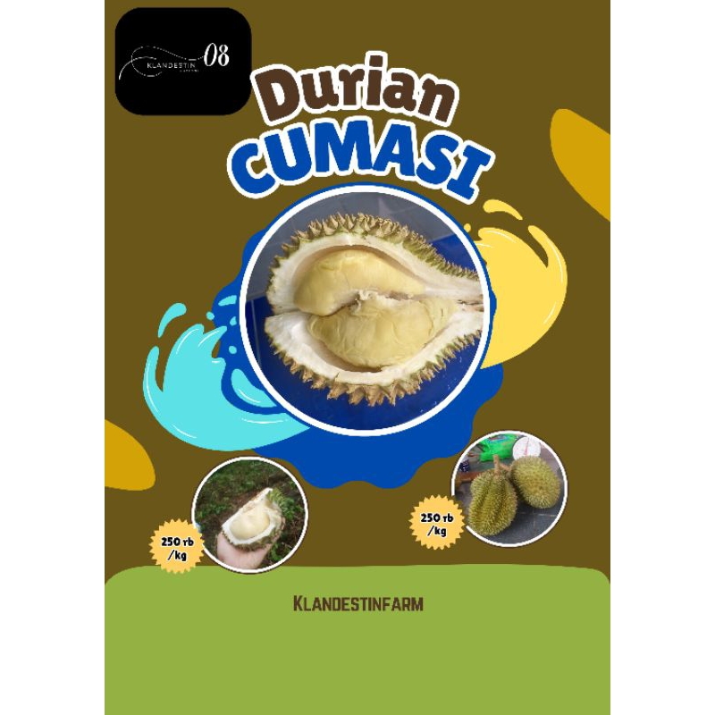 

Durian Cumasi asli Bangka Full Garansi