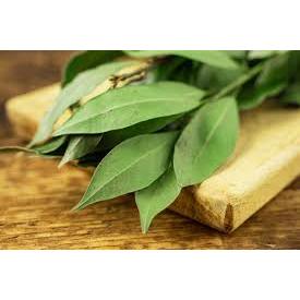 

daun salam segar untuk bumbu masak 1kg