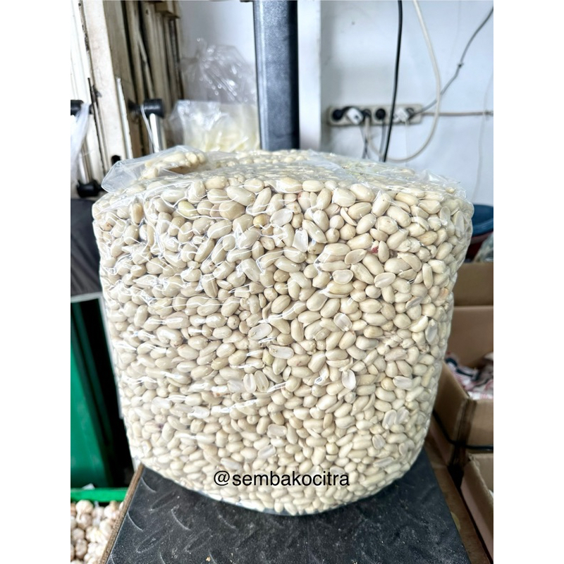 

Kacang Tanah Kupas Mentah BESAR (25/29) berat 12.5KG