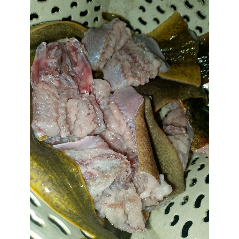 

Belut air asin asli ya lebih gurih ... betetan khusus area terdekat (Belut hidup )