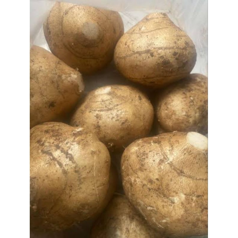 

Buah Bengkoang 500 gram