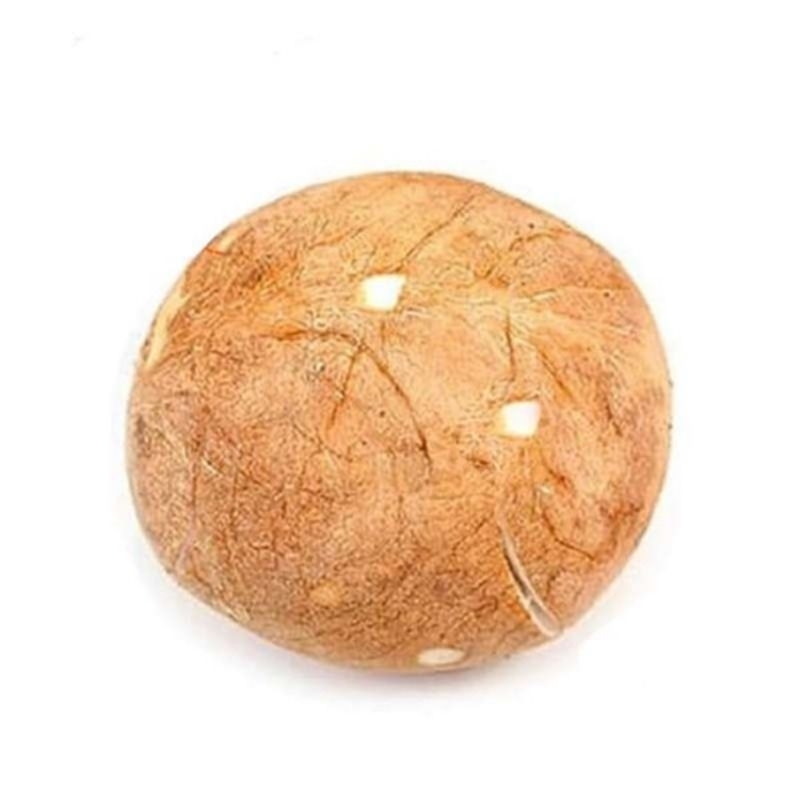 

Kelapa tua kupas 1 butir tinggal parut,tanpa air, ukuran sedang