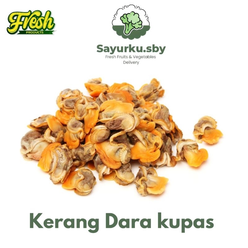 

Sayurku.sby (Bisa kirim instan) Kerang Dara Kupas Fresh 500gr