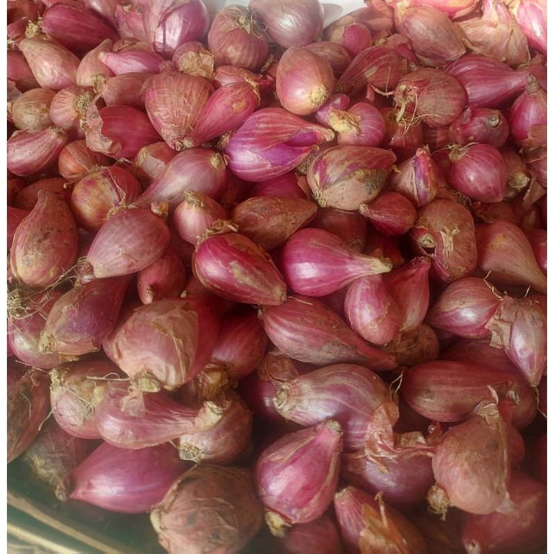 

Bawang Merah Murah Garing