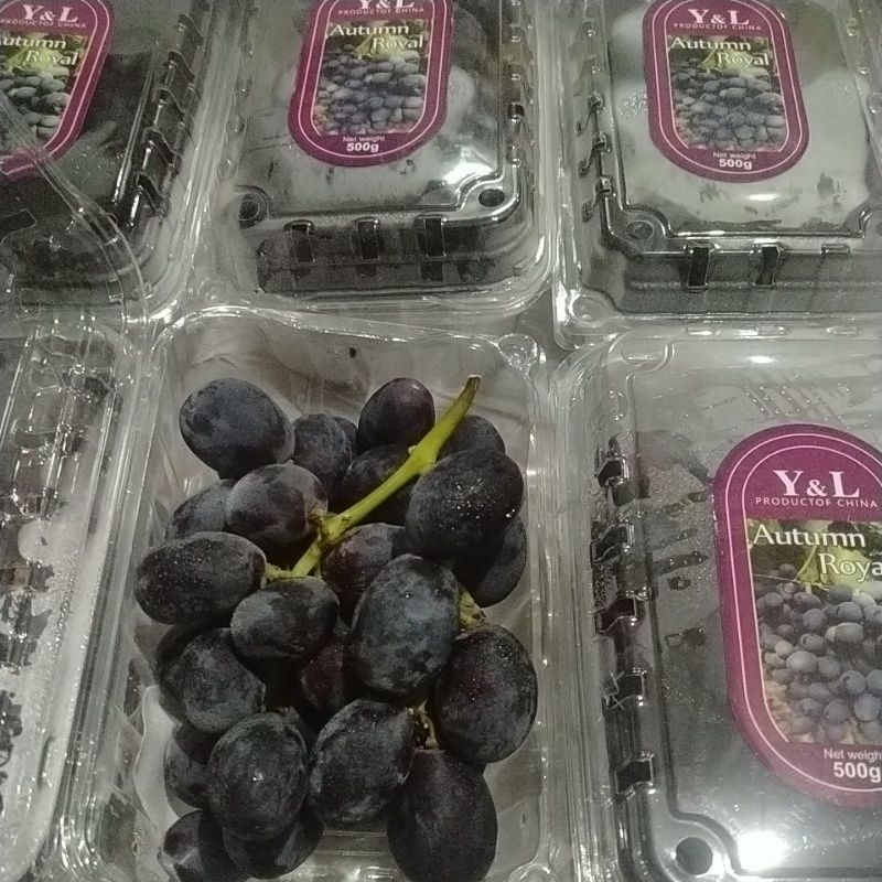 

Anggur Autumn pack 500 gr