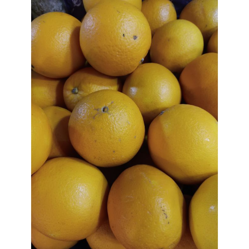 

jeruk sunkist segar 500gr