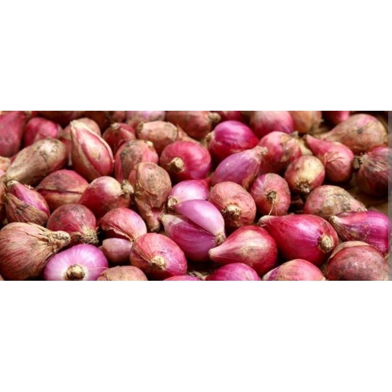

Bawang merah