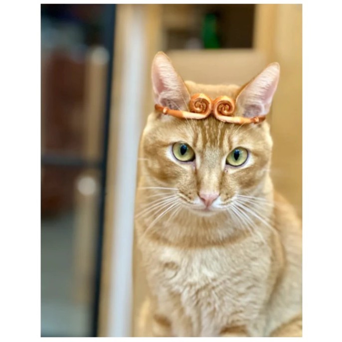 Cuero Topeng Kucing Wukong kera sakti terlaris
