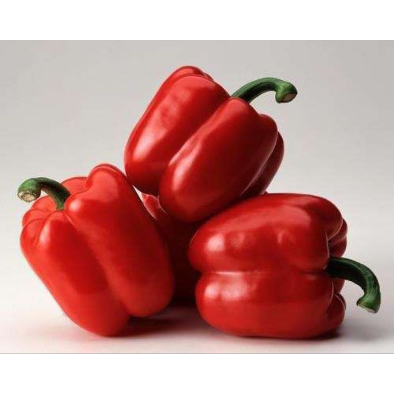 

Paprika Merah (Capsicum Red) Fresh