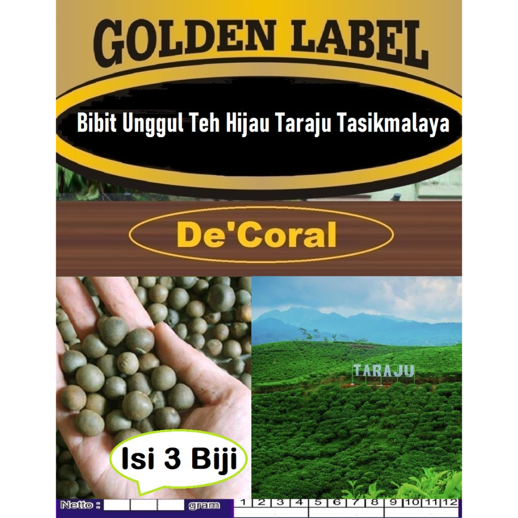Bibit Unggul Teh Hijau Taraju Tasikmalaya | Biji Benih Teh Hijau Taraju