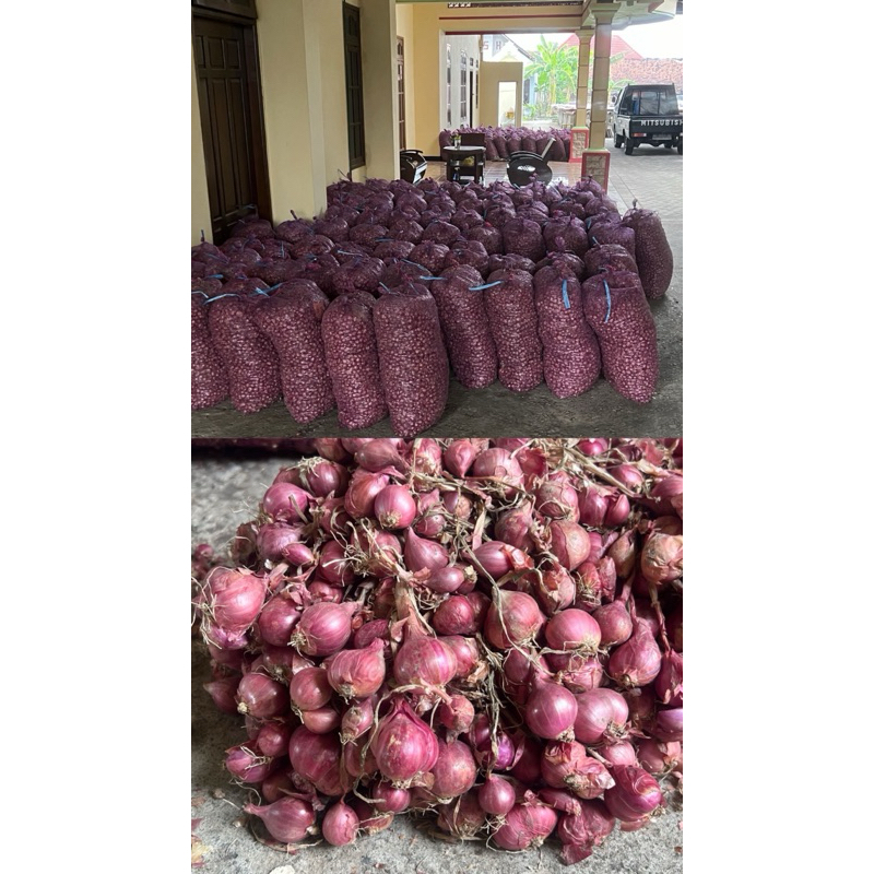 

PAKET HEMAT BAWANG MERAH TERMURAH 5 KG - FREE ONGKIR