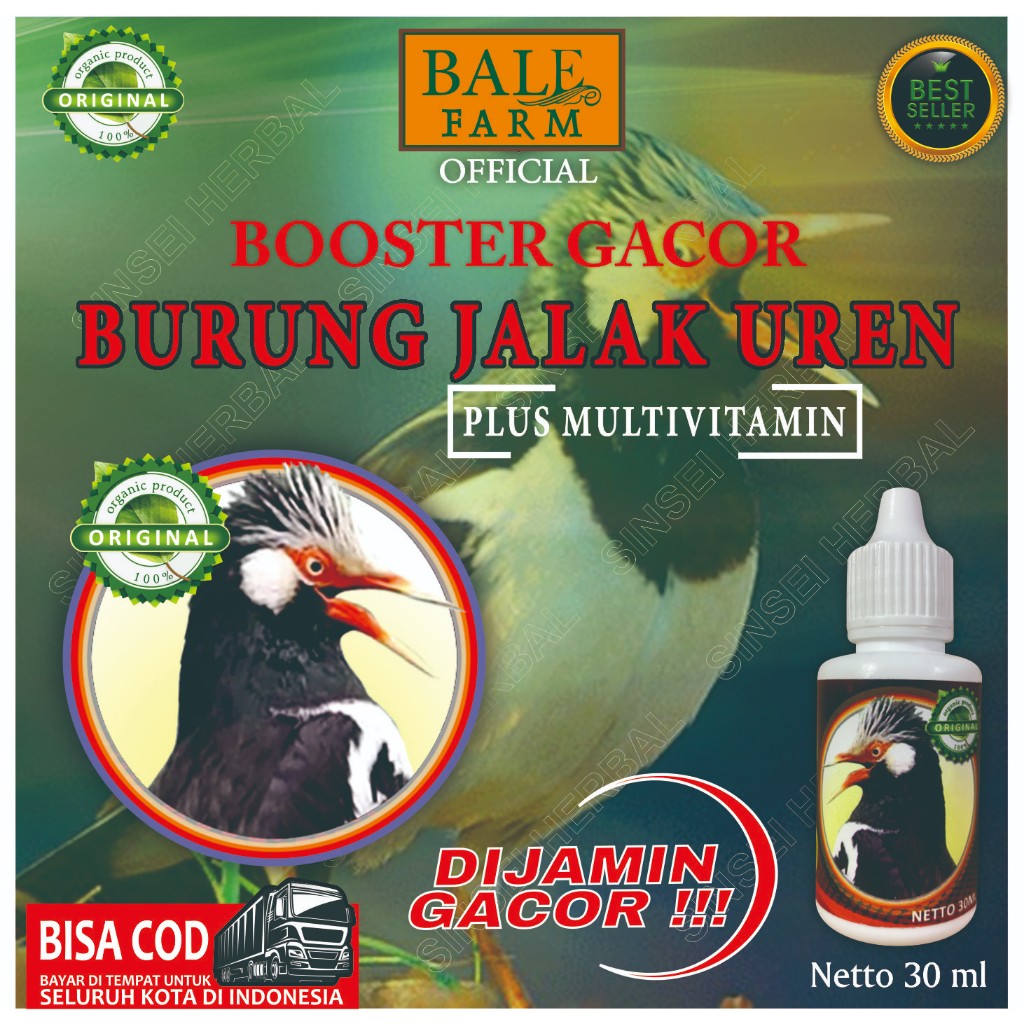 Harga jalak uren Terbaru Jul 2026 | BigGo Indonesia