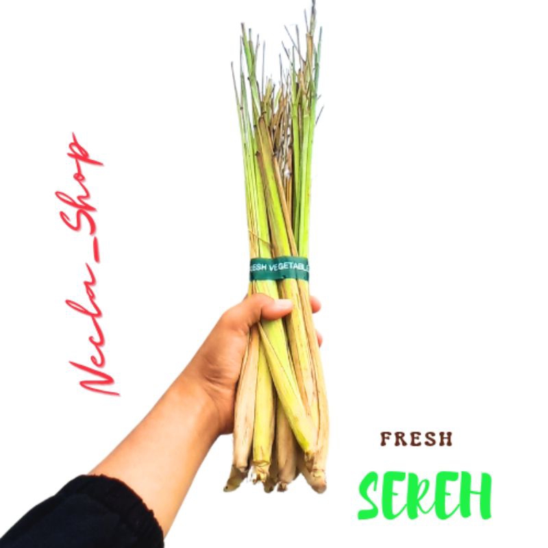 

sereh segar/sereh 1 kg/sereh 250gram/sereh 500gram/sereh fresh