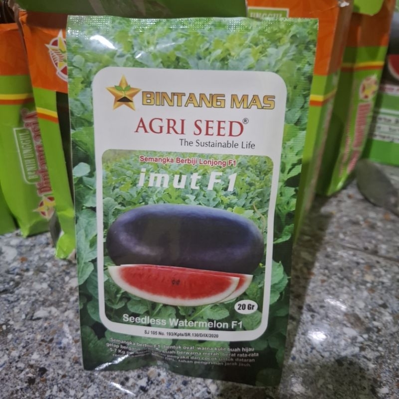 BENIH SEMANGKA INUL IMUT F1