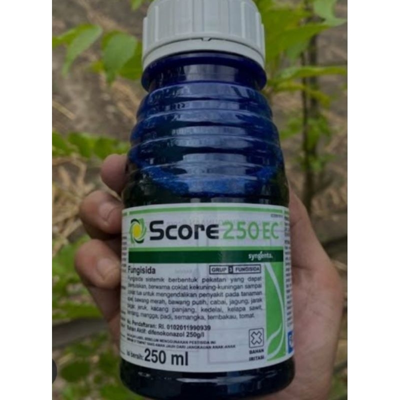 SCORE 250EC-250ML FUNGISIDA ORIGINAL