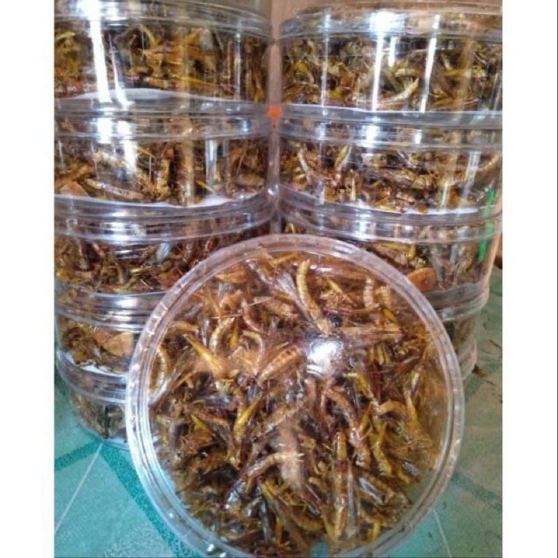

beli 1 dapat 5 toples belalang termurah belalang goreng cemilan khas baoyolali