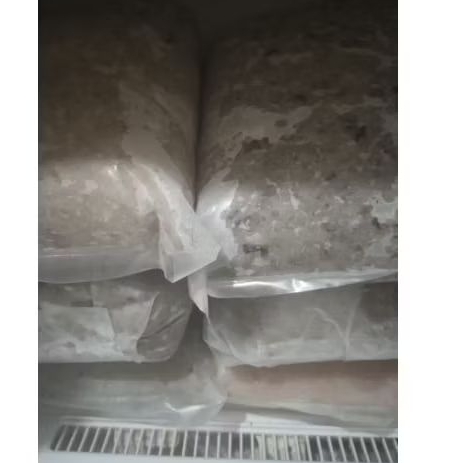 

kulit tenggiri asli segaar, 500 gram,murah2disini