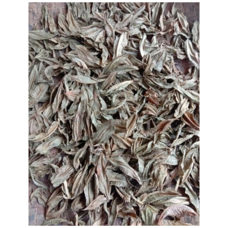 

Daun Kedongdong Sudah Dikeringkan Perkantong Isi Full