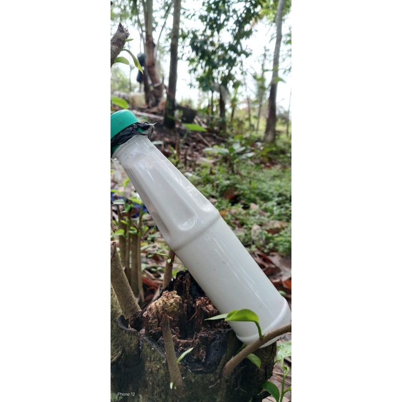 Getah karet cair asli isi 200mili