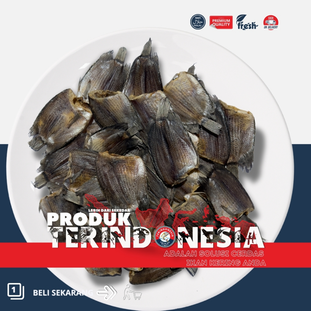 

Ikan Sepat Tebakang Jumbo Premium Terindonesia | 250gr - 1000gr | Ikan Tawar