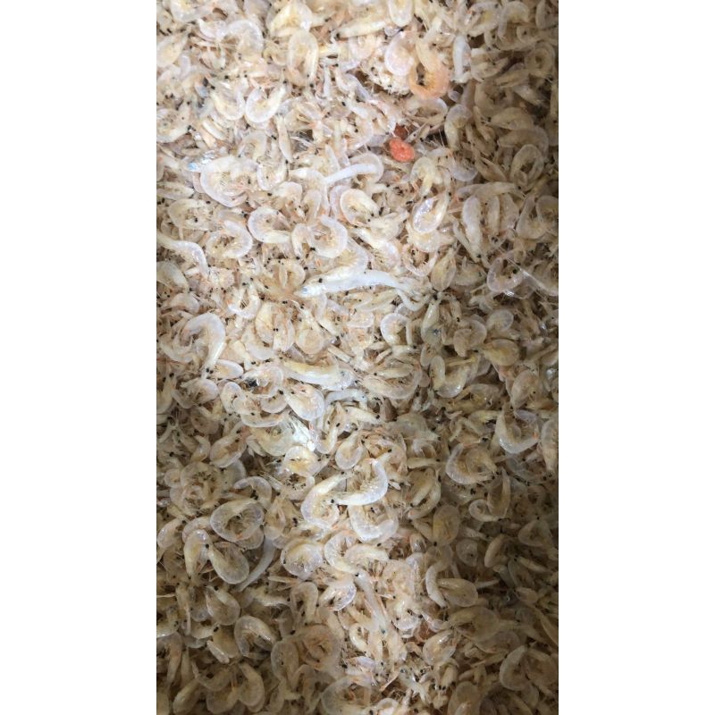 

udang rebon / hepi / kecopeh / kecepeh