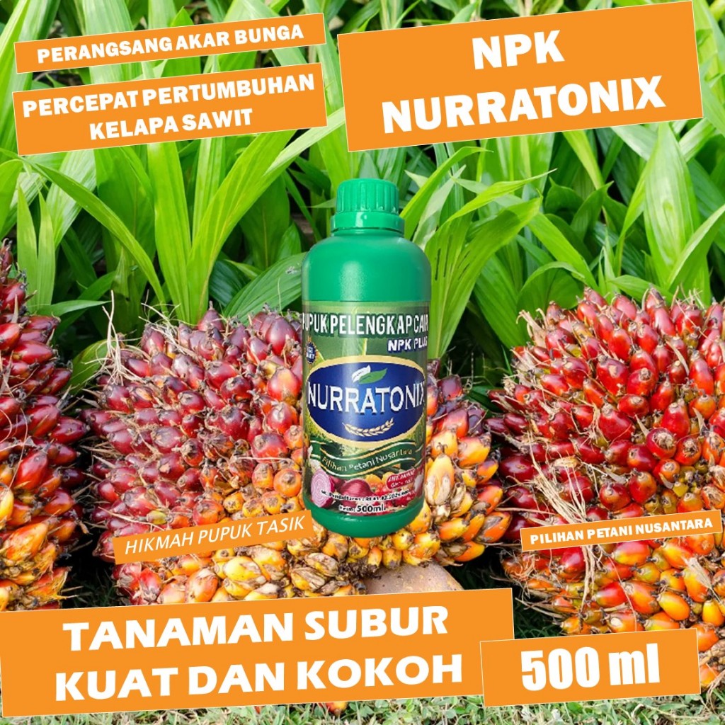 (REKOMENDED BAGUS) Pupuk Pelebat & Penyubur Kelapa Sawit Terlaris - NPK NURRATONIX 500ML - Pupuk sem