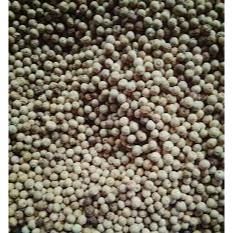 

MERICA PUTIH UTUH DAN BUBUK SEGAR