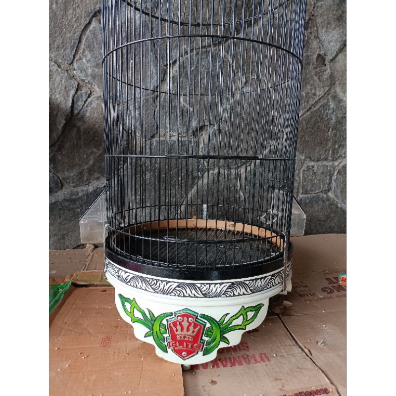 TEBOK LOVEBIRD JATI UKIR baca deskripsi yah