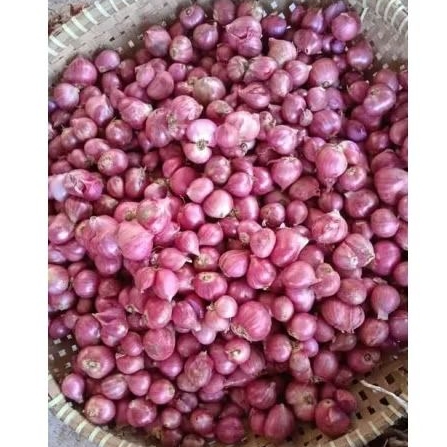 

Bawang merah