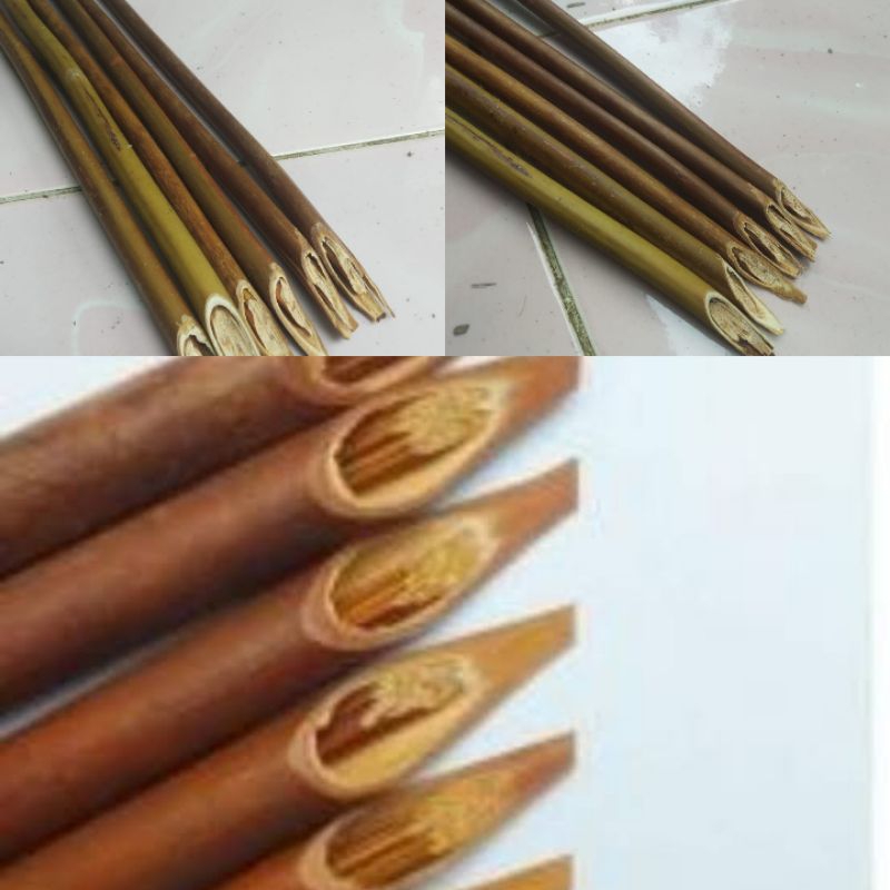 

Handam Pena Kaligrafi Kayu Resam Paku Andam