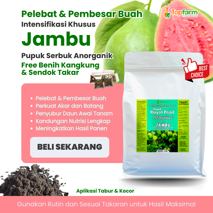Pupuk Jambu Kristal Agar Cepat Berbuah / Pupuk Buah Jambu Terbaik / Pupuk Pelebat Buah Jambu