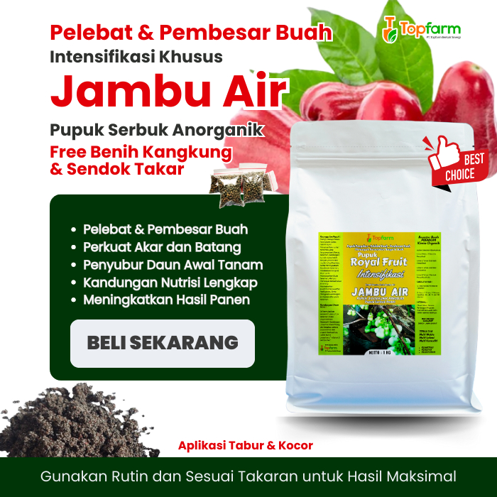 Pupuk Booster Buah Jambu Air Terbaik / Pupuk Buah Jambu Air Cepat Berbuah / Pupuk Tanaman Jambu Air