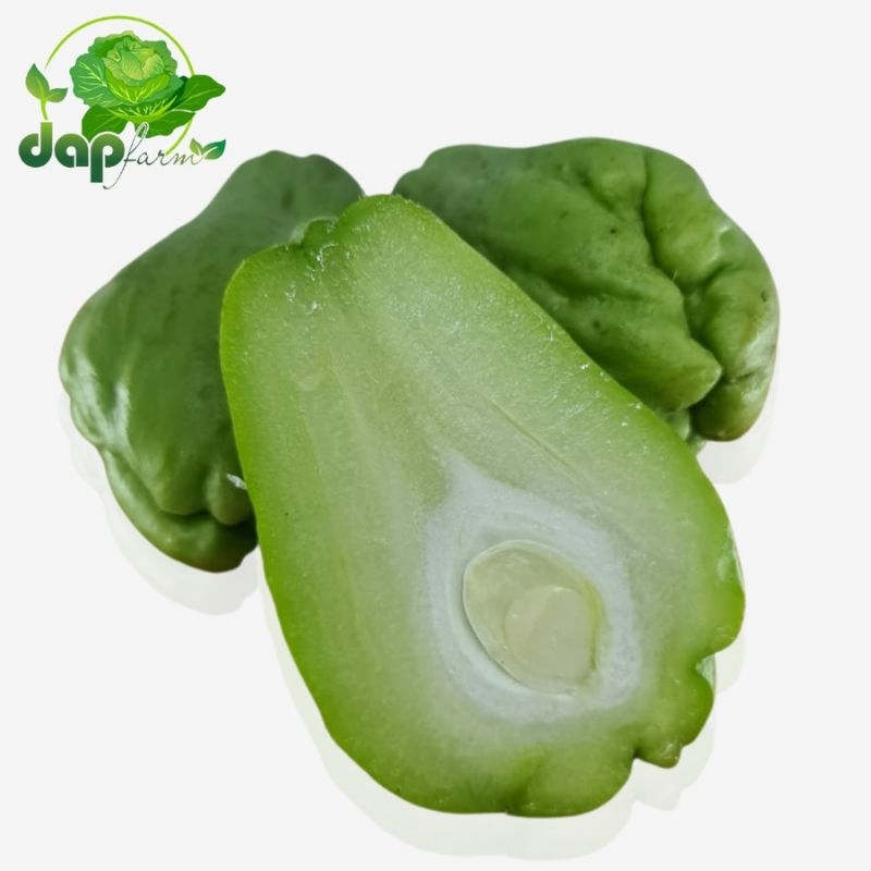 

Labu Siam/ DAP Farm/Sayur Segar Jakarta