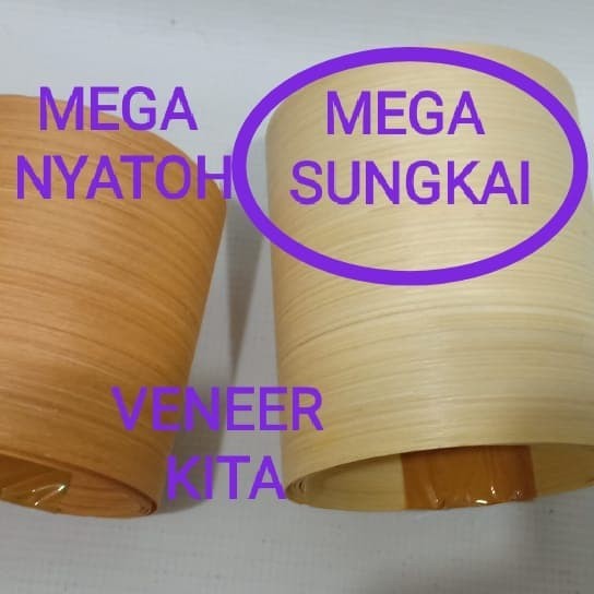 ready MEGA SUNGKAI 0.2 - 0.3mm VENEER VINER PLIMIR RECOND KULIT KAYU