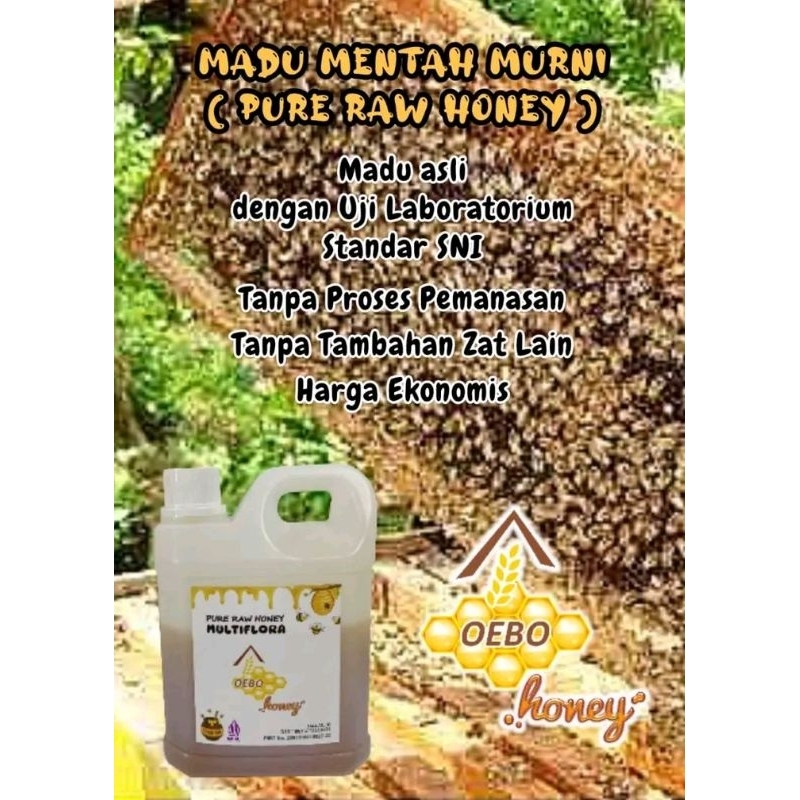 

Madu Murni Pure Raw OEBO Honey Multiflora 1 Kg