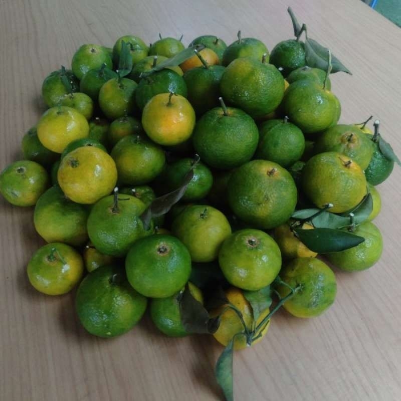 Tanaman Santang Hijau Manis Berbuah