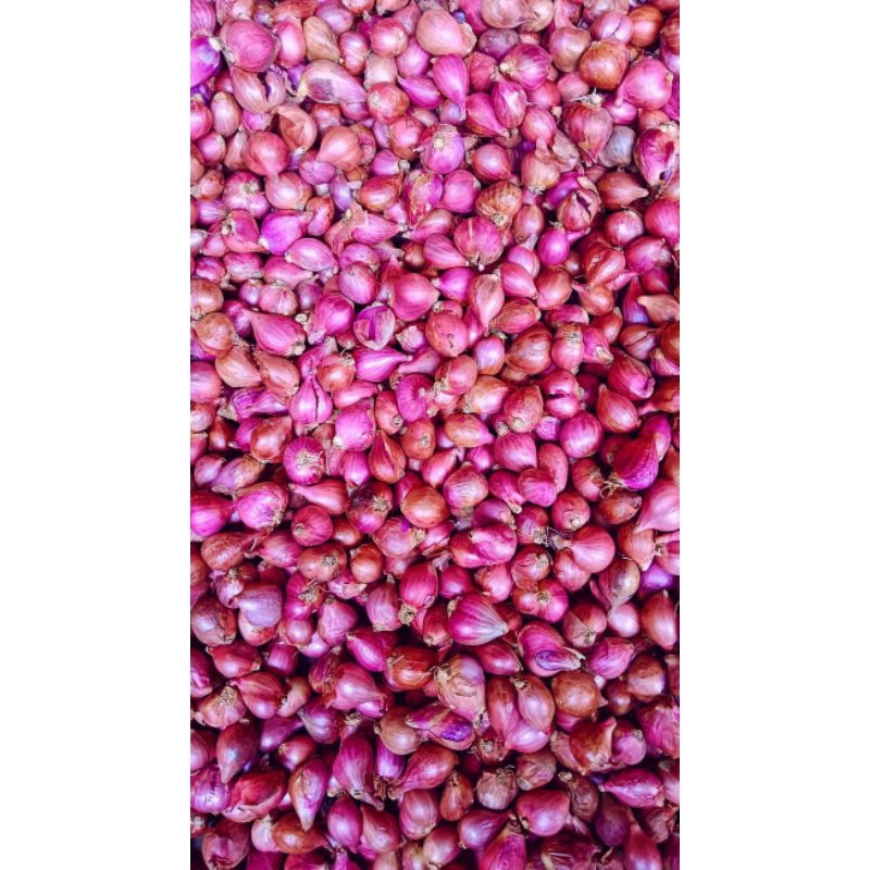 

BAWANG MERAH PREMIUM