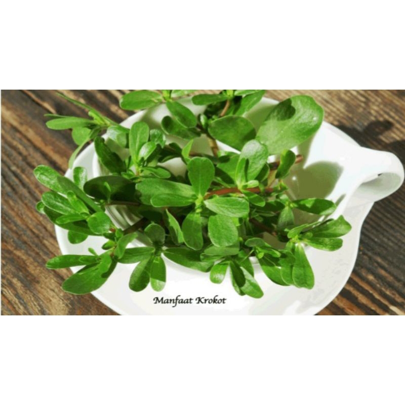 

crokot segar organik,bisa kering bisa rajang 1kg.di proses melalui pengopenan bukan di jemur langsung ter kena sinar mata hari .bagus untuk kesehatan