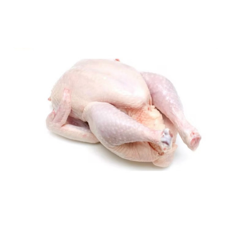 

Ayam Utuh Fresh