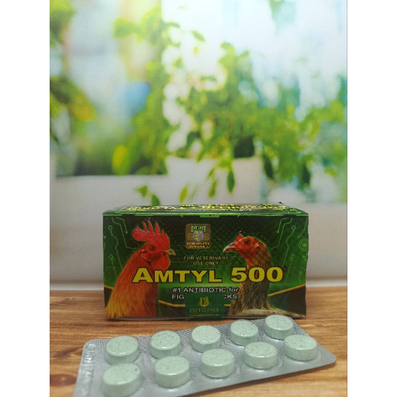 Amtyl 500 Obat Ayam Philipin Antibiotik