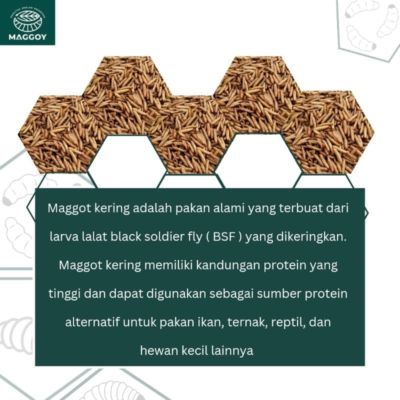 ady78 Maggot Kering 1kg maggot kering 1 kg maggot BSF magot kering pakan ikan koi chana arna